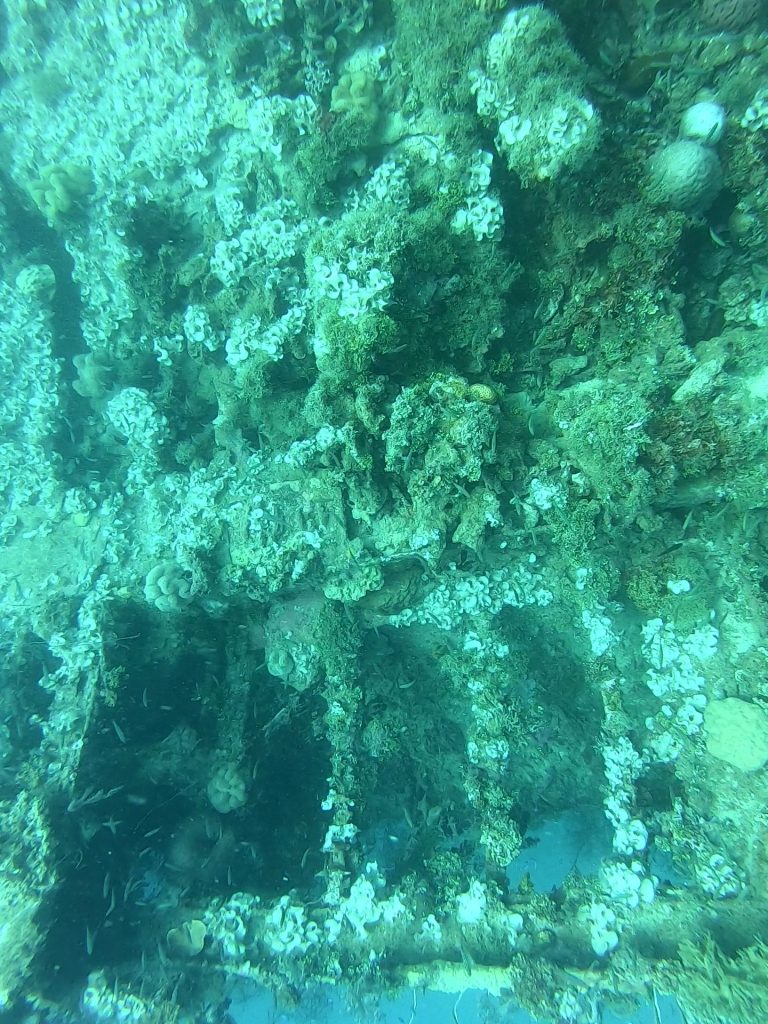 maruページ Hanakawa Maru | Dive3D.eu