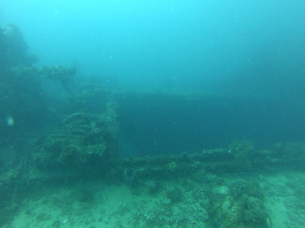 Hanakawa Maru | Dive3D.eu